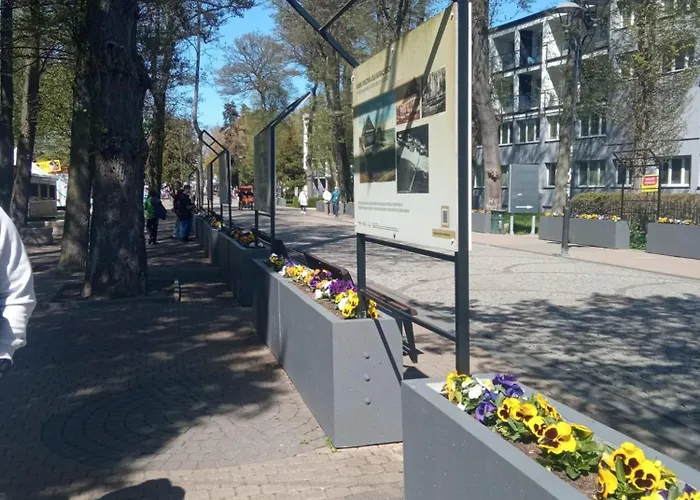 Lilly * Mielno (Koszalin)